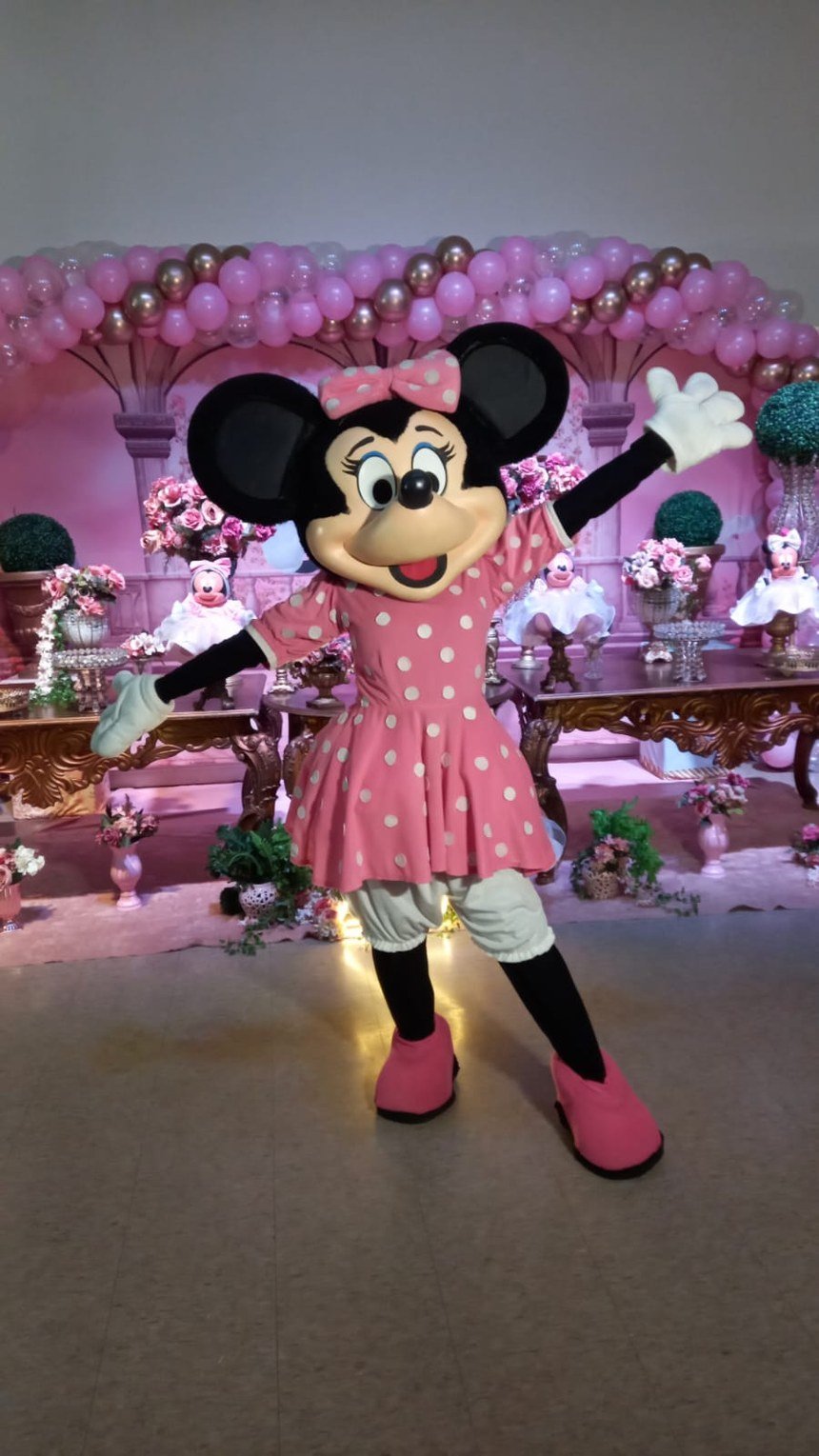 Personagens Vivos para Festa Infantil em Diadema