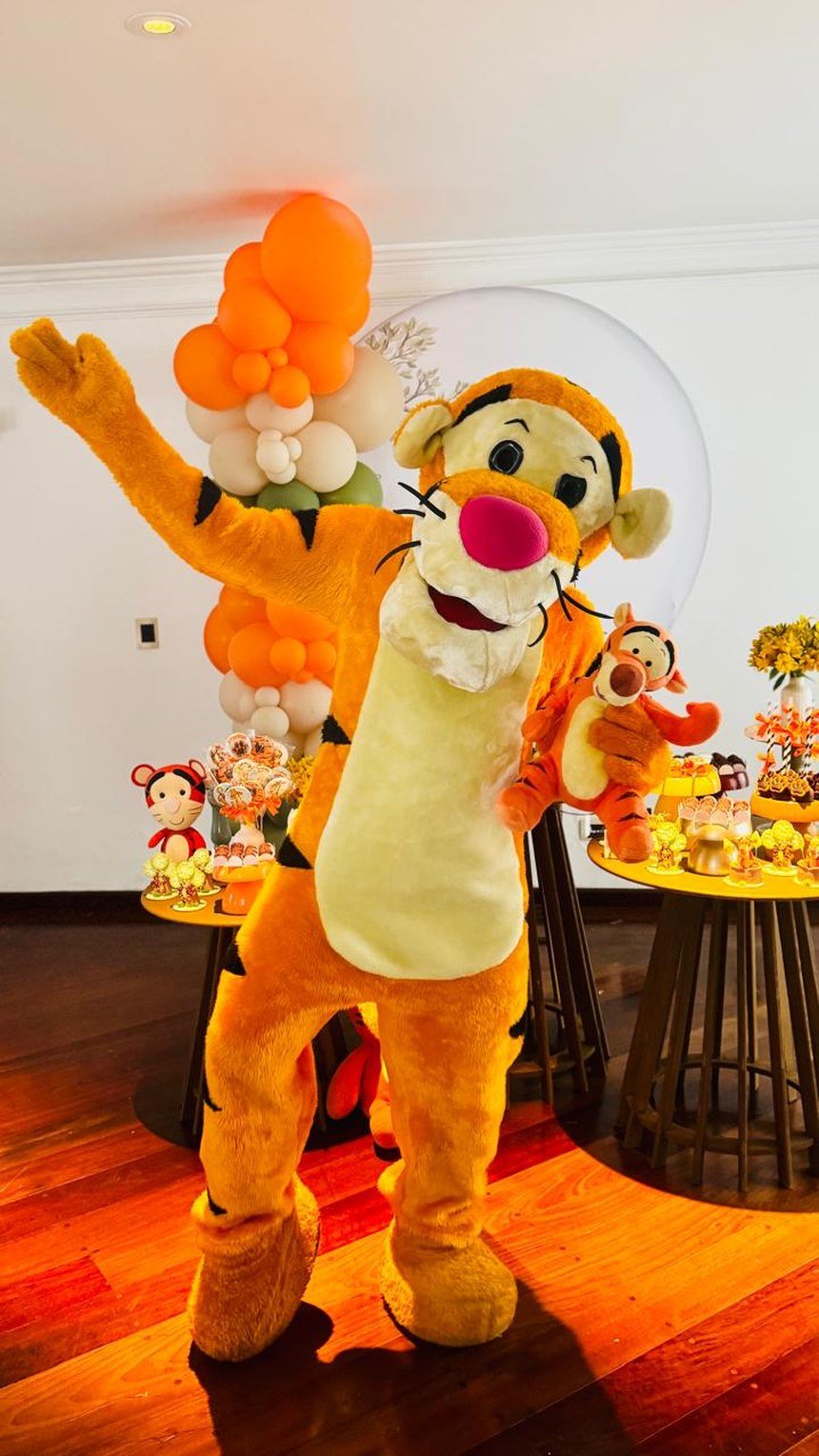 Festas de Aniversário com Personagens Vivos no Paraíso